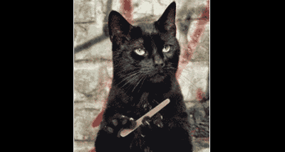 你们想看的吃屎,比尔盖茨替我们吃了,味道竟然还不错!