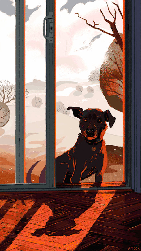 456_810 竖版 竖屏