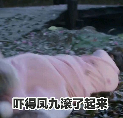 《三生三世十里桃花》凤九带字表情包(15p)