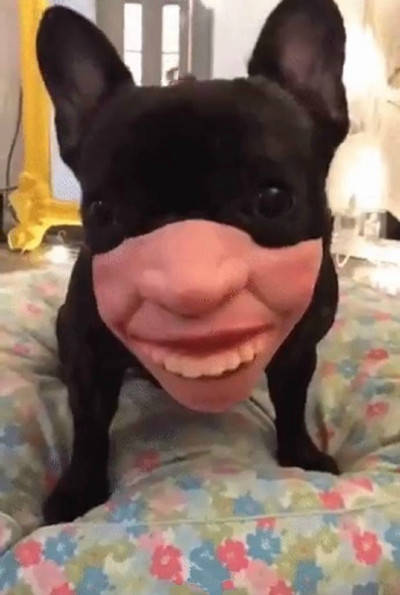 a6d02y61972489058405.jpeg