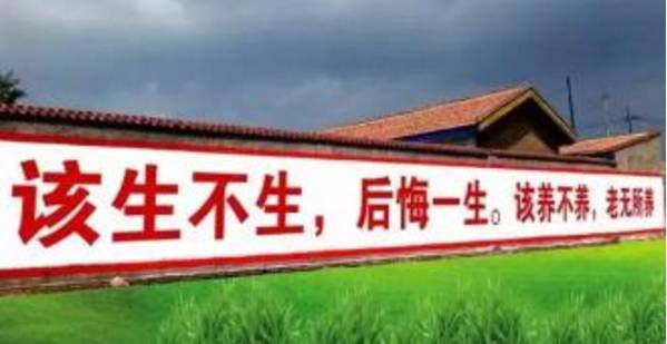 我们就是一群"猪"! 敢生二胎,没收全部家产 人口要跟上来?