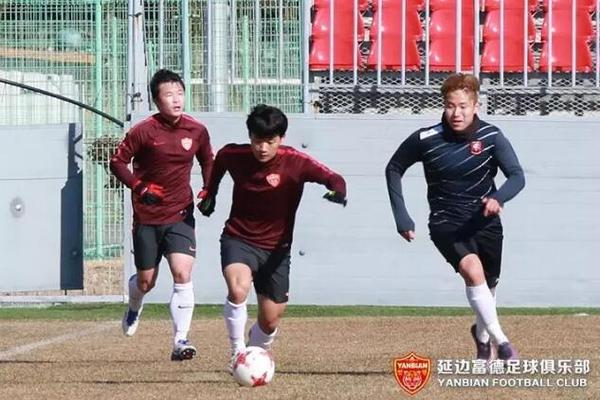 热身赛-古兹米奇建功 延边队1-0小胜富川fc
