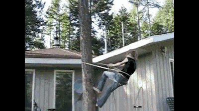 看到树就想爬,看到栏杆就想翻,我只想问: