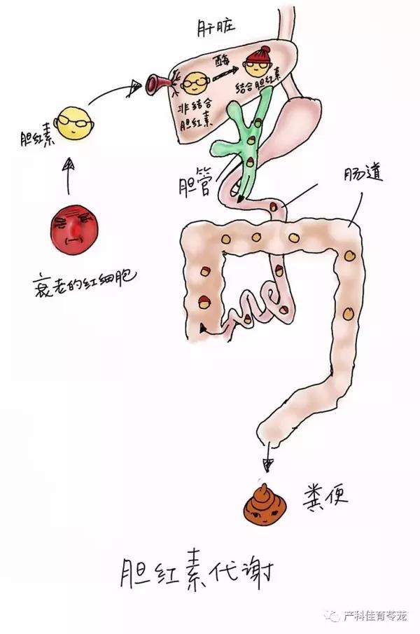 宝宝黄啦吧唧是毛病吗?