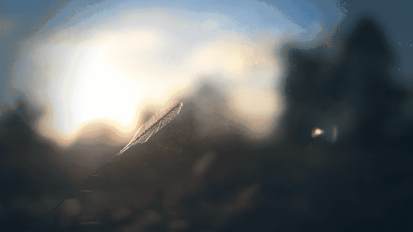 七句| 眼睛为她下着雨,心却为她打着伞