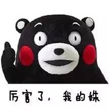 a2qpw59968432353467.jpeg