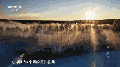 没错,航拍中国就是这么美