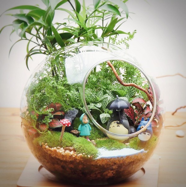 指尖上的绿动创意微景观DIY 活动时间:2月19日下午3点 活动对象:3-10岁儿童 活动地点:灵格风英语 国贸校区4F 活动收费:58元/人 活动报名: 1、灵格风学员联系各班助教老师报名; 2、校外小伙伴拨打0371-88883636报名。 活动说明: 报名成功后,活动开始前48小时内取消不予退费。