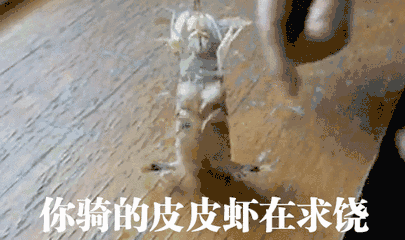 广大网友还没有从