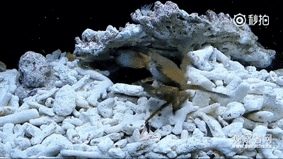 400_225gif 动态图 动图