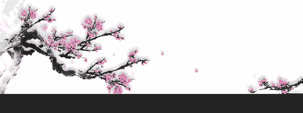 【福利】寻找你的