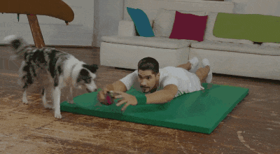 铲屎官!你们家的宠物想跟你一起运动