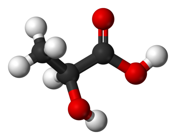 醣酵解(glycolysis)来产生能量,这个过程发生在你的细胞液(cytosol)中