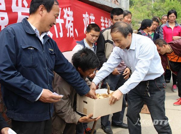 安康汉滨区关庙镇书记罗煜:扶智业绿色发展奔小康