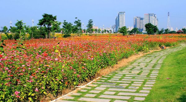 在福州, 有一种花开四季,叫花海公园!