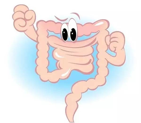 内脏洗手猜成语_洗手卡通图片(2)