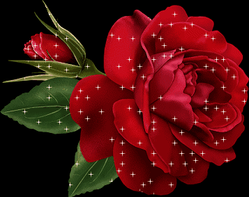 天悦湾体育中心祝您情人节快乐,愿你有玫瑰一般的爱情