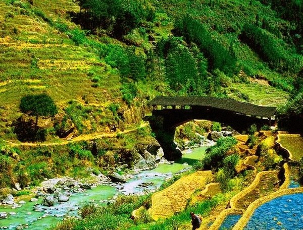 每次看到《清明上河图》里的这座老木桥