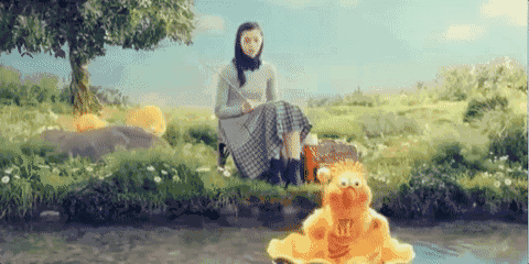 这两只日本的「小黄鸡」,承包了我鸡年春节的表情包