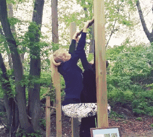 ↓↓↓ 小编已经不太好了…… 还有动态图 ▼