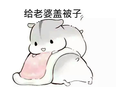 情人节到了,有人忙着秀恩爱,有人忙着表白,也有人忙着斗图.