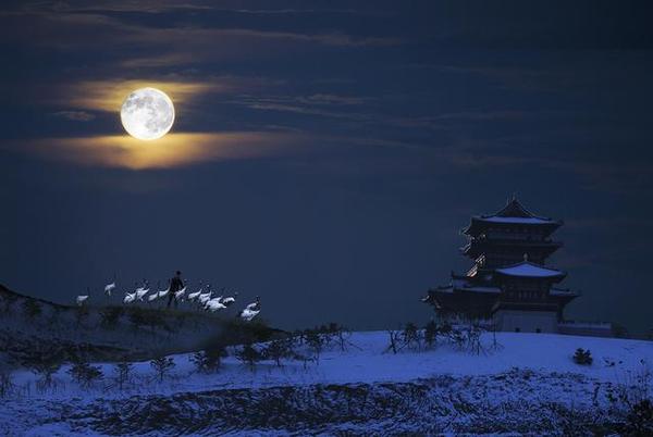 美文诗词│《月夜》