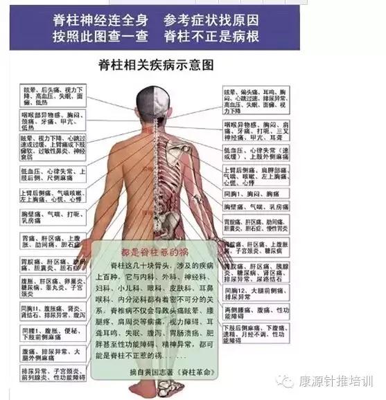 骶椎 骨盆,肾 骶髂关节炎,排尿异常,子宫炎,前列腺炎,脊椎