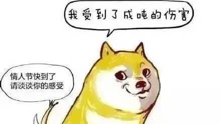情人节,谁来拯救单身狗?