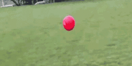 爆笑gif:妹子,你可能碰到了假新郎!