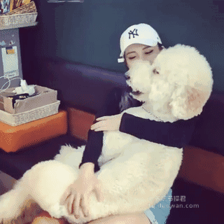 搞笑趣图:这是香蕉,妹子的香蕉
