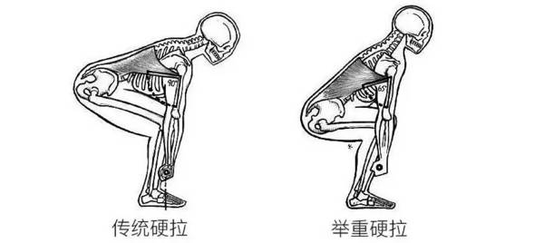 举重硬拉 与传统硬拉相比,限制举重硬拉的因素往往是腿部力量,而限制