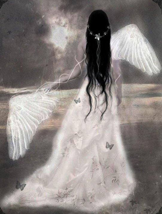 女孩是天使,当她爱上一个人的时候,她就会折断自己的翅膀,来到她深爱