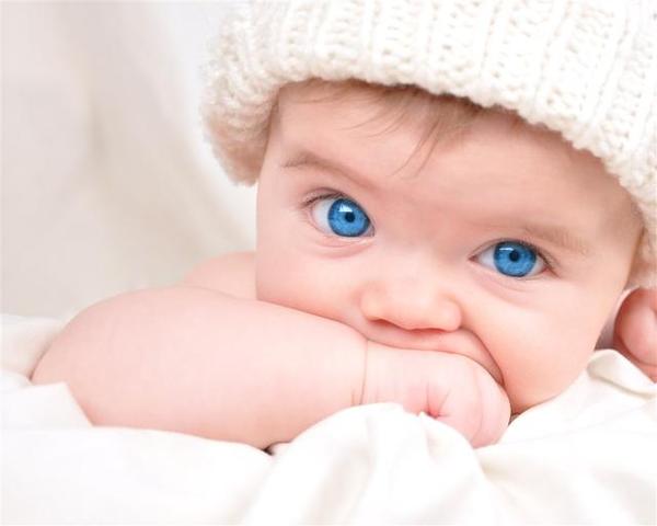 a62t7v7786773543619.jpg