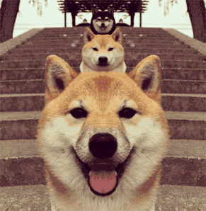 情人节最优质的狗粮段子在此,哈哈哈,你们这帮狗粮养的