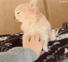 不忘让人占便宜,没救了 舒胡~卡机嘛不要停啊~ 这销魂的表情也是够了