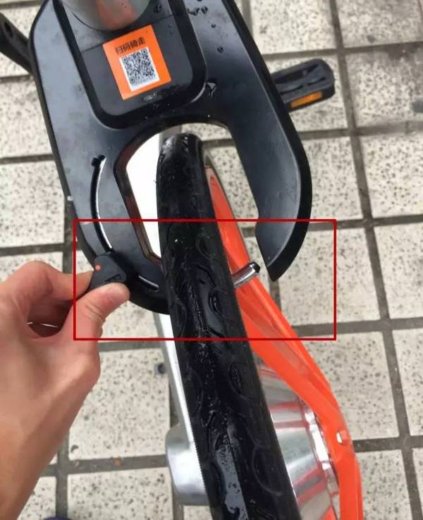 a4vuvw0231151124542.jpeg