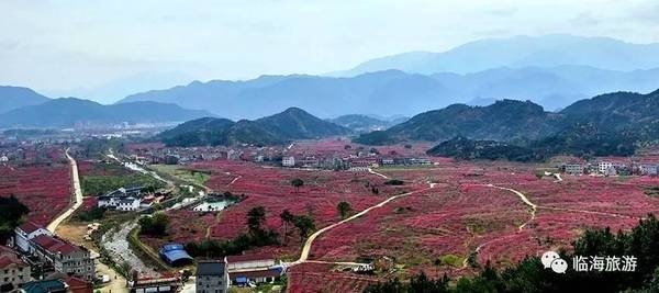 地址:白水洋镇上官村,官溪村,溪头村及周边村落 假如《三生三世十里