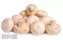 蘑菇要过水吗 a5ai2f862611042433.jpeg