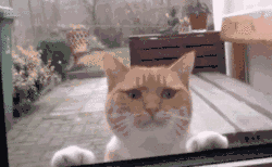 省考倒计时65天,现在开始准备还来得及吗?