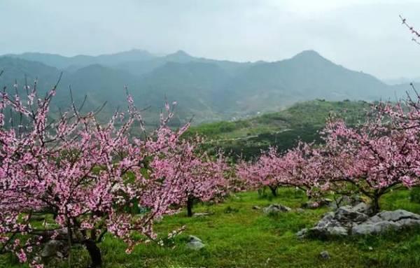 自驾坐标:郴州市资兴市东江湖桃花岛