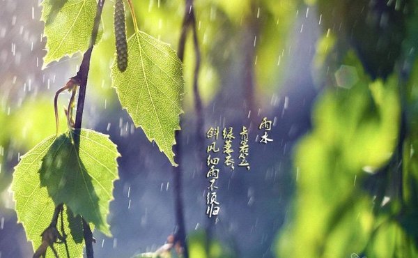 风什么水什么成语大全_成语简笔画图片大全(3)