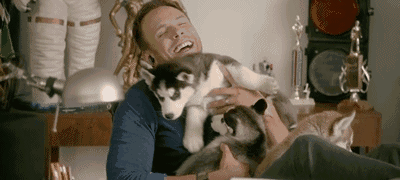 二哈gif | 翻翻这博主的微博你就会发现,人生没啥过不