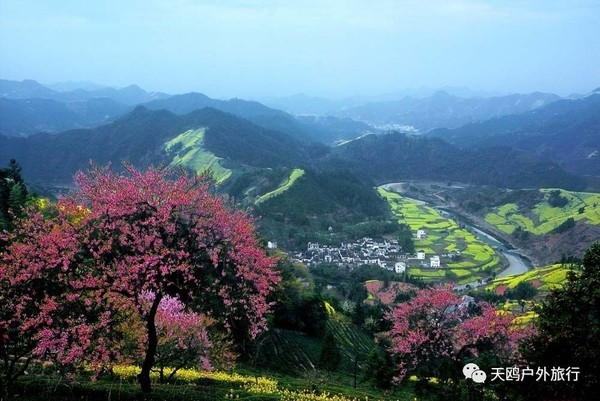 春天来皖南看万亩梯田竹海,媲美婺源的惊艳-旅游频道-手机搜狐