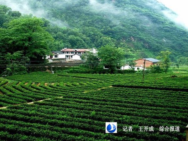 安康市人口有多少人口(2)