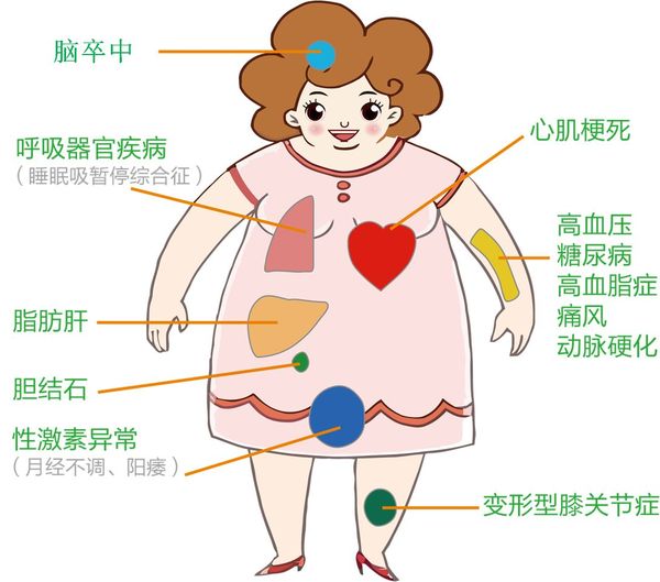 2019年中国成年人中肥胖占总人口_成年人的崩溃