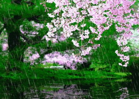 壁纸 花 桌面 450_320 gif 动态图 动图