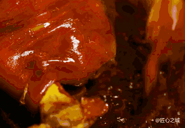 扒开红糯发光的猪皮, 香气就透过软烂的猪肉, 一点点渗出来.