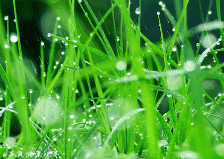 450_320 gif 动态图 动图