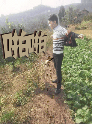 ps恶搞:求大神p个鱼尾,我想变成美人鱼!