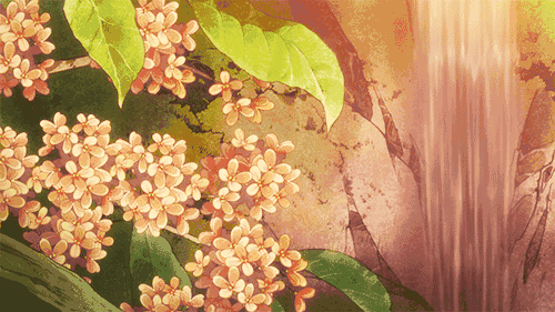 满园春色|上半年最全